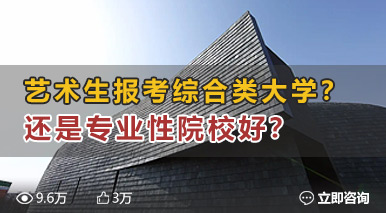 藝術(shù)生報考綜合類大學(xué)？還是專業(yè)性院校好？
